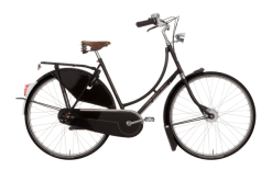 Gazelle Tour Populair 7 Citybike