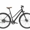 Diamant 247 Citybike