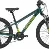 Cannondale Kids Trail Kinderfahrrad 20 Zoll -Cube Fahrrad Verkäufe 500986 600x600