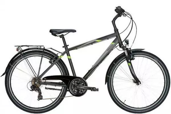 Pegasus Avanti 18 Trekkingrad 26 Zoll 3 Pegasus Avanti 18 Trekkingrad 26 Zoll