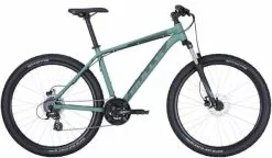 Bulls Wildtail 2 Disc 29 Race Mountainbike