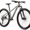 Liv Tempt 0 Race Mountainbike 2 Liv Tempt 0 Race Mountainbike -Cube Fahrrad Verkäufe MY22Tempt290 ColorAMetal Front