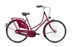 Wittich Holland Jugendfahrrad 28 Zoll