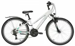 Pegasus Avanti Sport 18 Jugendfahrrad 26 Zoll