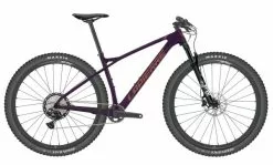 La Pierre Prorace CF 8.9 Race Mountainbike