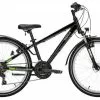 Pegasus Avanti Sport 18 Kinderfahrrad 24 Zoll