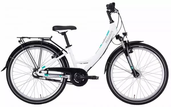 Pegasus Avanti 7 Kinderfahrrad 24 Zoll 3 Pegasus Avanti 7 Kinderfahrrad 24 Zoll