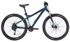 Bulls Zarena 2 29 Race Mountainbike